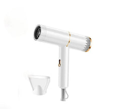 Professional Hair Dryer